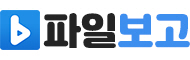 파일보고